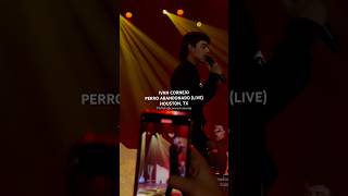 IVAN CORNEJO  PERRO ABANDONADO LIVE  HOUSTON TX ivancornejo terapia concert shorts [upl. by Ibrahim]