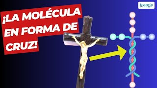 ¡IMPACTANTE 👉La molécula en forma de cruz [upl. by Ibloc]