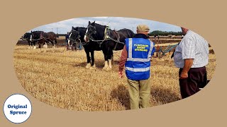 Flintham Ploughing Match 2022 [upl. by Ruthy]