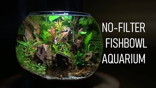 How To Set Up A FISHBOWL The RIGHT Way  No Filter  No Heater  Aquarium Setup [upl. by Orvah]