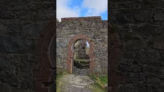 Dogwalk at Castlewellan Forest Park [upl. by Rooker748]