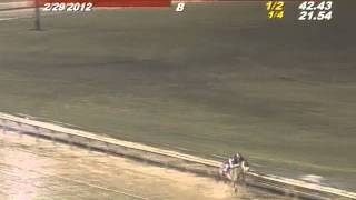 Worst Horse Racing Accident Ive ever seen [upl. by Leverett]