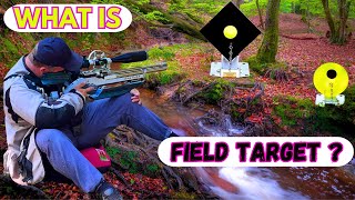 Air Rifle Shooting  What Is Field Target [upl. by Reade733]