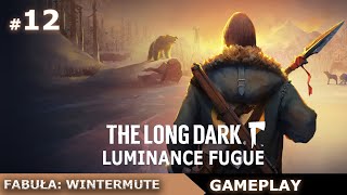 Wintermute Odcinek 2 12 Zaginiona skrytka kolejny bunkier  The Long Dark gameplay po polsku [upl. by Lipkin118]