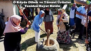 O Köyde Dibek ve Yöresel Ürünler Yeniden Hayat Buldu yöresel tarla evhanımı bahçe saban düven [upl. by Affer]