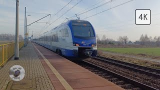 Stadler Flirt  ED160025 IC Mickiewicz 043 [upl. by Haerle]