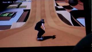 Skate 3 1080 spin [upl. by Imac]