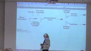 Nucleotide Metabolism II [upl. by Severson]