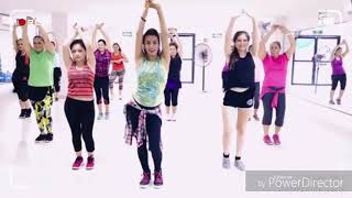 TENGO TODO LO QUE QUIEREN LAS GUACHASwcz zumba [upl. by Lanor280]