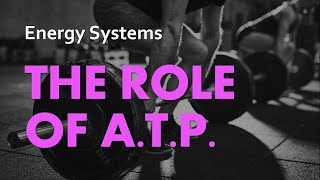 The Role of ATP  Energy Systems 01  Anatomy amp Physiology [upl. by Arraic]