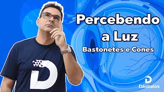 PERCEBENDO A LUZ  BASTONETES E CONES  ENEM 2022 [upl. by Gennaro]