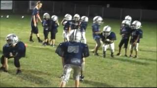 Best little League football hits [upl. by Alywt735]