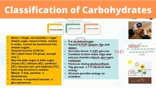 Classification of Carbohydrates  Structure and Function with Examples  Biological Molecules [upl. by Webster]