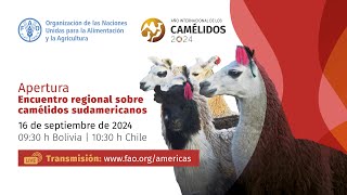 Encuentro Regional sobre camélidos sudamericanos [upl. by Aissac]