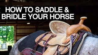 HOW TO TACK UP YOUR HORSE WESTERN [upl. by Arahk]