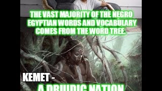 Asar Imhotep The vast majority of the Negro Egyptian words and vocabulary comes from the word 4 tree [upl. by Aij]