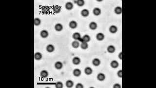 Reconfigurable Assembly of Planar Colloidal Molecules via Chemical Reaction and Electric Movie 5 [upl. by Haggar]