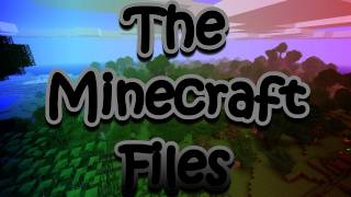 The Minecraft Files  16 Simple Wheat Farm [upl. by Wat]