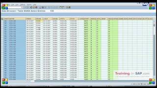 SAP Training  How to export table in SAP  SE16 transactionavi [upl. by Beane996]