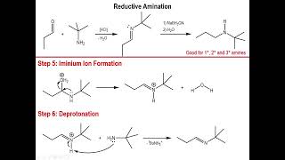 Lec9  Reductive Amination [upl. by Llerahs]