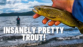 TROUT FISHING on a Scottish Highland Loch 🏴󠁧󠁢󠁳󠁣󠁴󠁿 🎣 4K [upl. by Hayman256]