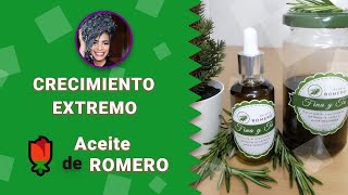 🌿CABELLO LARGO con ACEITE DE ROMERO🌿 CRECIMIENTO IMPARABLE 👌  Cabello Crespo [upl. by Salhcin74]