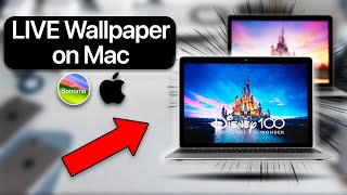 How to set Live Wallpaper on Mac in 2024 [upl. by Xila]