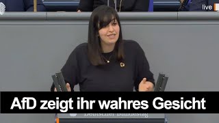 Wie die AfD über Arbeitslose denkt [upl. by Nhtanhoj664]