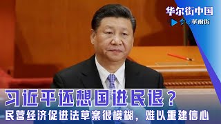 习近平还想国进民退？心里没平权法概念：民营经济促进法草案很模糊，难以重建信心｜华尔街中国 [upl. by Uehttam965]