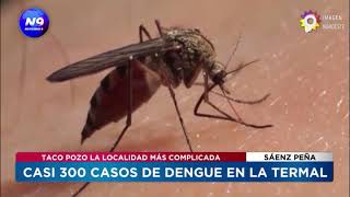 CASI 300 CASOS DE DENGUE EN LA TERMAL  NOTICIERO 9 [upl. by Yamauchi]