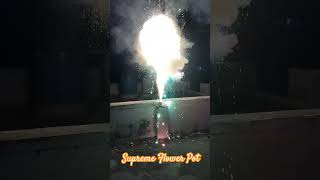 Supreme Spectra Gold fireworks johari2200 [upl. by Hosbein922]