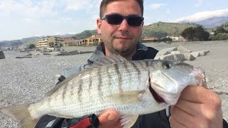 Trabucco TV  Surfcasting  Surf spiagge profonde [upl. by Lorie102]