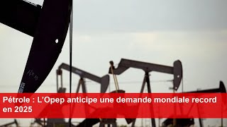 Pétrole  L’Opep anticipe une demande mondiale record en 2025 [upl. by Care]