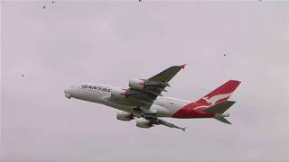 Plane Spotting Tullamarine  Melbourne  Part 2 Sun 290810 [upl. by Gnni]