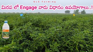 Corteva Engage Insecticide Uses Telugu  Engage Insecticide Dosage  potash fertilizer water soluble [upl. by Akinna]