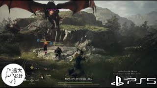 Drake Mini Dragon Dragons Dogma 2 [upl. by Yve]