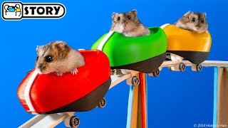 Hamsters on the Worlds Largest Roller Coaster in the Amusement Park Maze 🐹 Homura Ham Pets [upl. by Rez960]