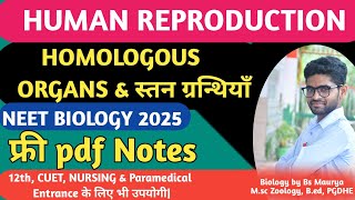 स्तन ग्रन्थियां Mammary GlandsNCERT HINDIHUMAN REPRODUCTION IN HINDI NEET BIOLOGY12th Biology [upl. by Eriuqs]