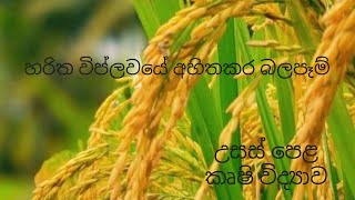 හරිත විප්ලවයේ අහිතකර බලපෑම්  Agricultural Science for Advance Level Examination Sinhala medium [upl. by Gaw348]