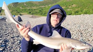 Minehead Festival 2024 Fishing Competition Bristol Channel [upl. by Risley]