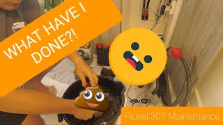 WHAT HAVE I DONE  FLUVAL 307 MAINTENANCE [upl. by Zetrac]