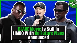 New Blade Movie NOT Announced In Earnings Statement [upl. by Iand459]