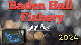 Baden Hall Fishery Lodge Pool 2024 carpfishing carpfishing badenhallfishery [upl. by Hearsh699]