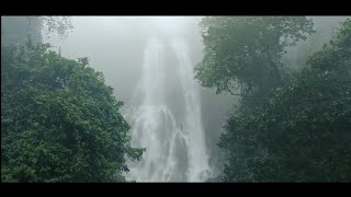 amboli waterfall Maharashtra [upl. by Chet687]