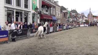 Paardenmarkt Vianen [upl. by Anelav]