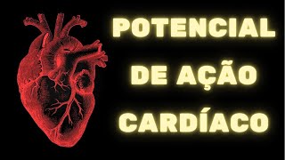 Potencial de ação cardíaco e contração do coração – Fisiologia Humana [upl. by Woolcott763]