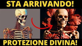 RIVELAZIONE SCELTA Le tue OSSA come CATALIZZATORE del tuo Avanzamento Spirituale [upl. by Nomaid]