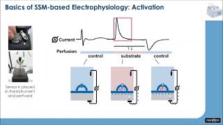 Webinar  Functional studies on membrane transporters using the SURFE²R N1 [upl. by Mordy]