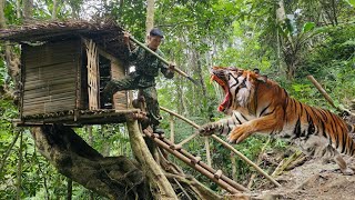 25 days living alone in the wild in a shelter confronting wild animals and dangerous reptiles [upl. by Enilesoj]