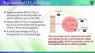 Lec02 Regulation of hemoglobin function 2020 [upl. by Schou]